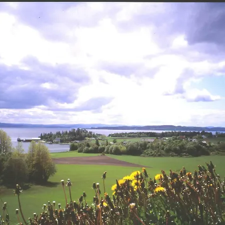 9 Person In Mosvik-by Traum Mosvik