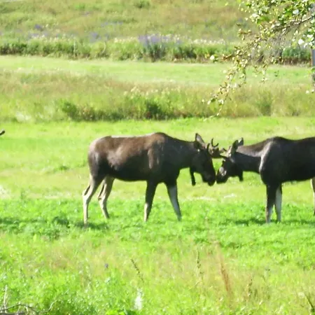 בית נופש 9 Person In Mosvik-by Traum Mosvik